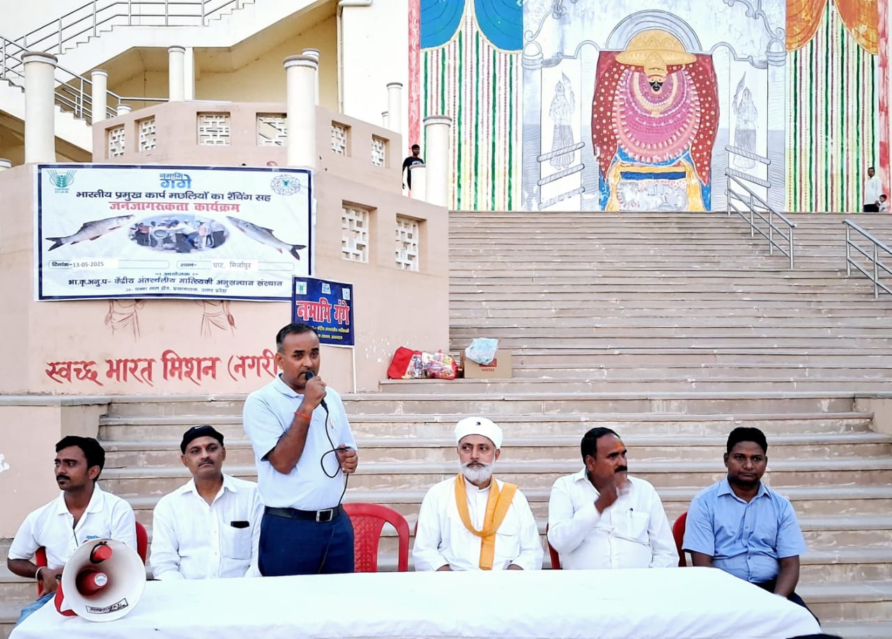 गंगा नदी में मछलियों को छोड़ते गंगा नदी में मछलियों को छोड़ते