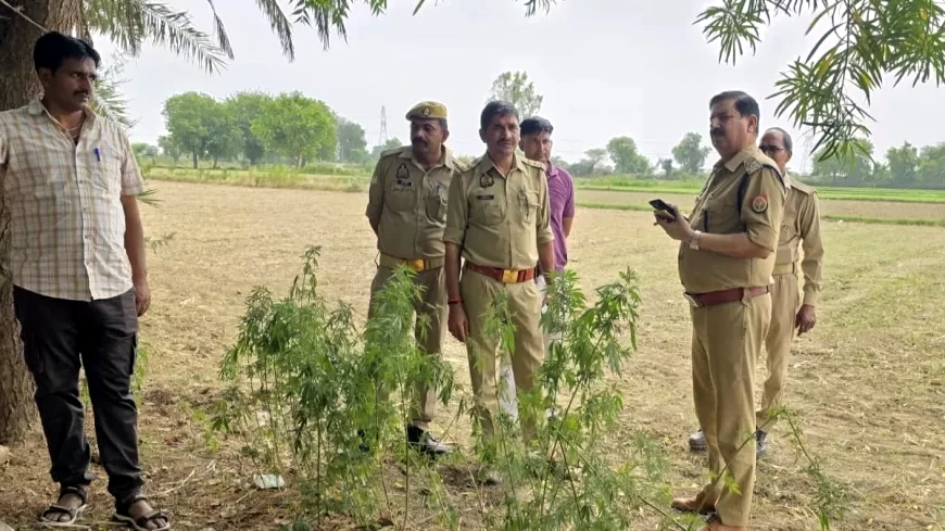 हत्या की सूचना पर पहुंची बरसाना पुलिस हत्या की सूचना पर पहुंची बरसाना पुलिस