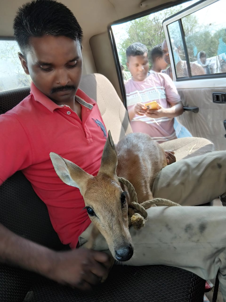हिरण को लेजाती टीम हिरण को लेजाती टीम