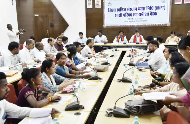 डीएमएफडी की समीक्षा बैठक डीएमएफडी की समीक्षा बैठक