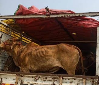 प्रतिकात्मक फोटो प्रतिकात्मक फोटो