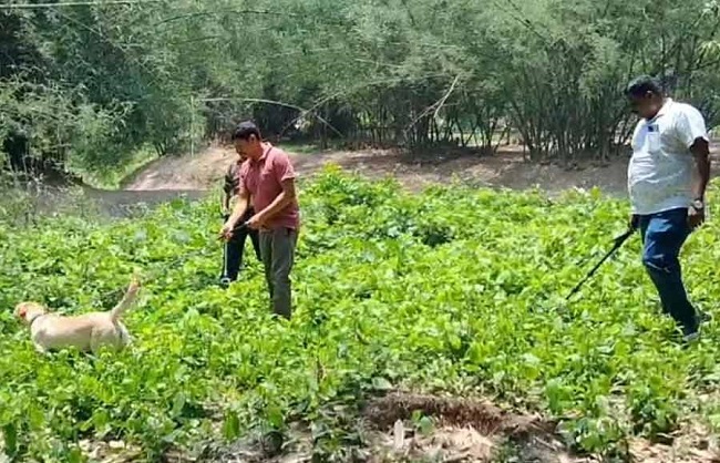 स्निफर डॉग की मदद से सघन तलाशी अभियान स्निफर डॉग की मदद से सघन तलाशी अभियान