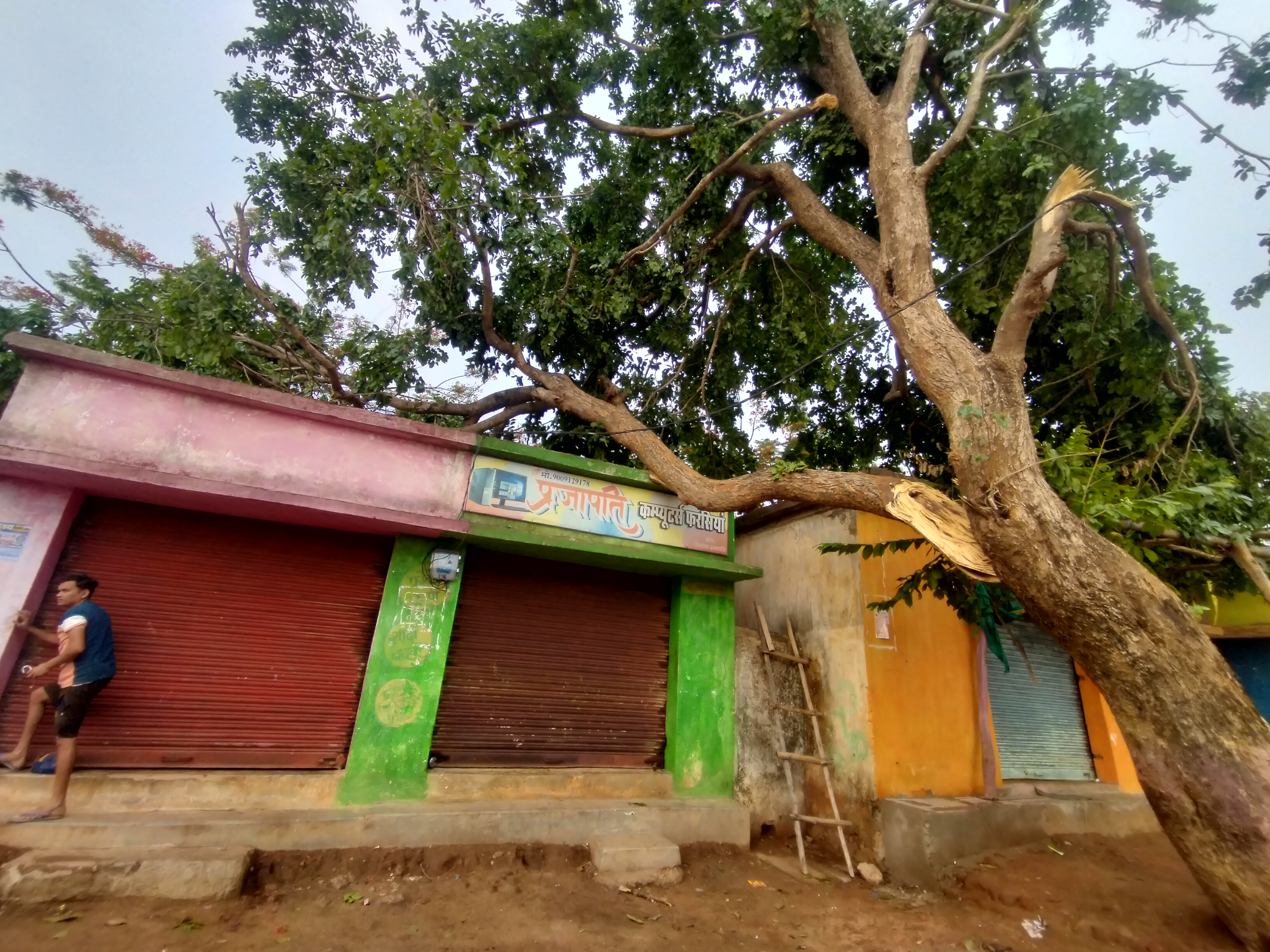 शापिंग कांप्लेक्स के ऊपर गिरा विशाल पेड़।
