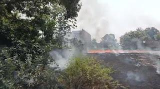 पराली जलाने से लगी आग पराली जलाने से लगी आग