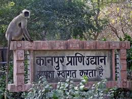 कानपुर चिड़ियाघर की फ़ाइल फोटो कानपुर चिड़ियाघर की फ़ाइल फोटो