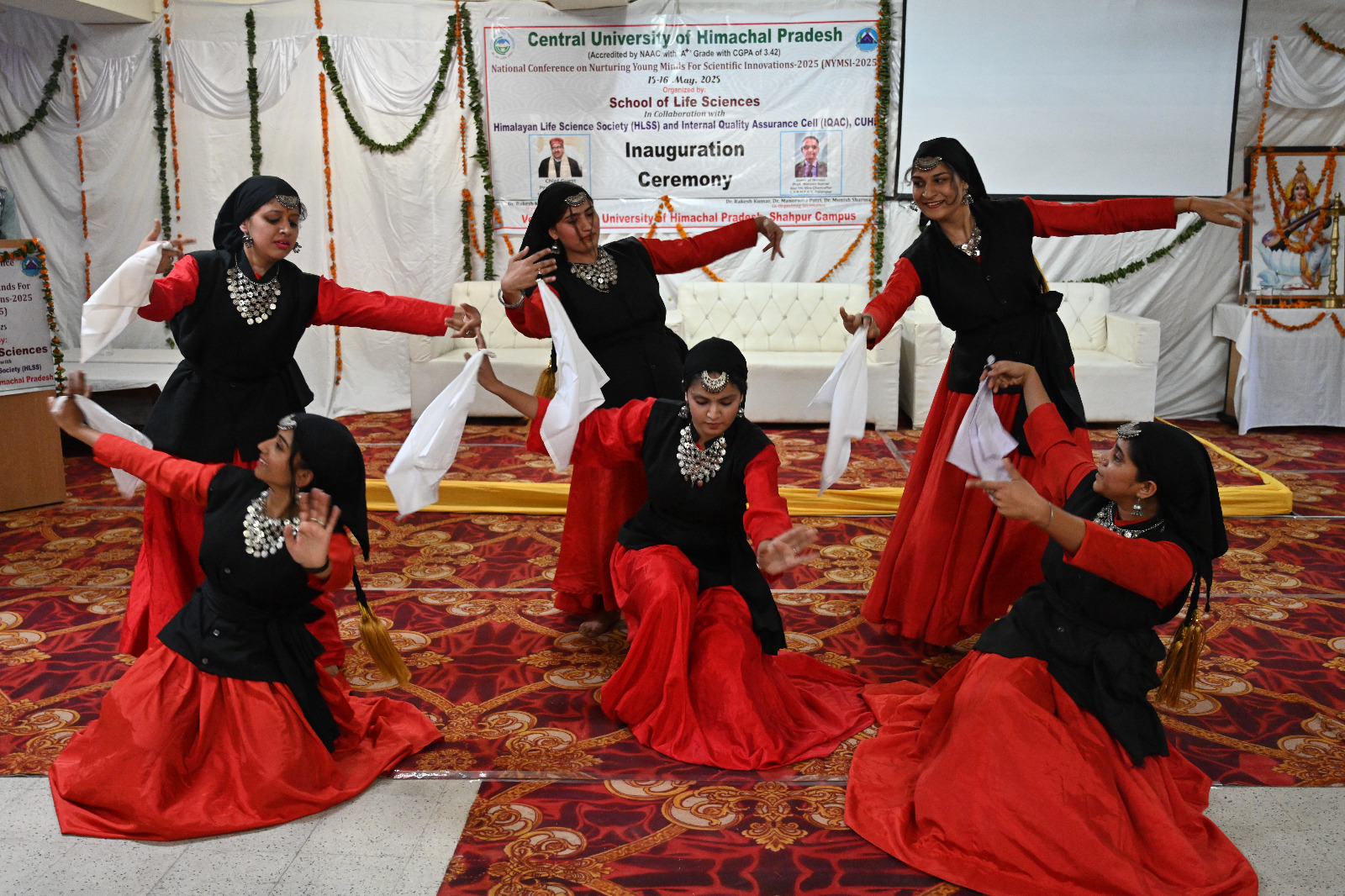 नाटी पेश करती छात्राएं। नाटी पेश करती छात्राएं।