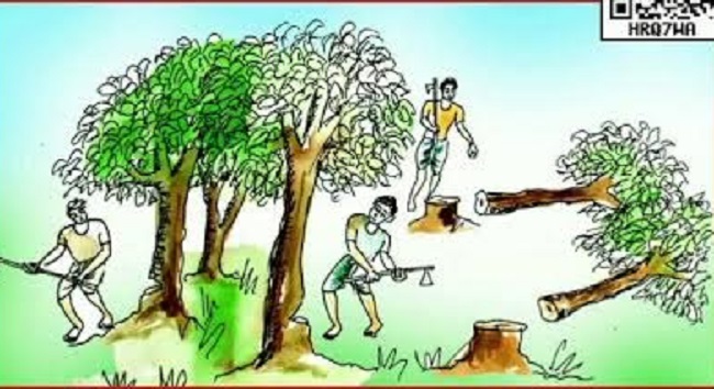“वूमन फॉर ट्री” अभियान (प्रतीकात्मक तस्वीर) “वूमन फॉर ट्री” अभियान (प्रतीकात्मक तस्वीर)