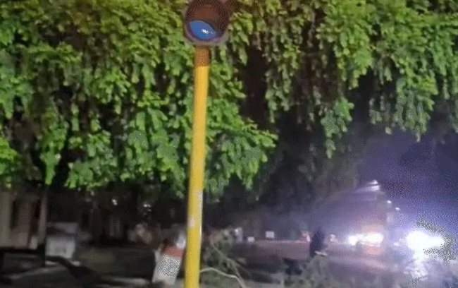 मप्र के कई जिलों में बारिश मप्र के कई जिलों में बारिश