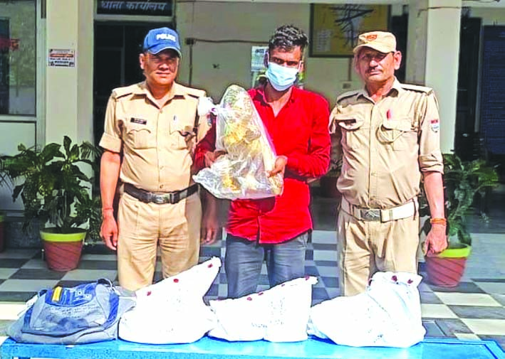 पुलिस गिरफ्त में आरोपित पुलिस गिरफ्त में आरोपित