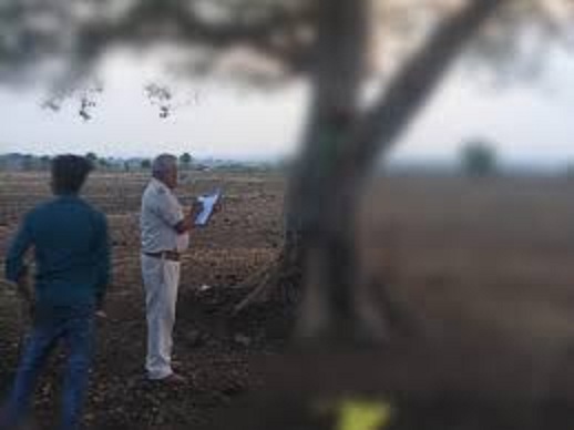 सिवनी में पेड़ पर लटका मिला किसान का शव सिवनी में पेड़ पर लटका मिला किसान का शव