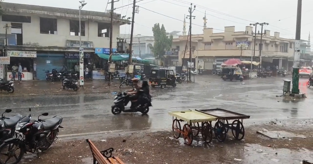 जूनागढ़ में बारिश जूनागढ़ में बारिश