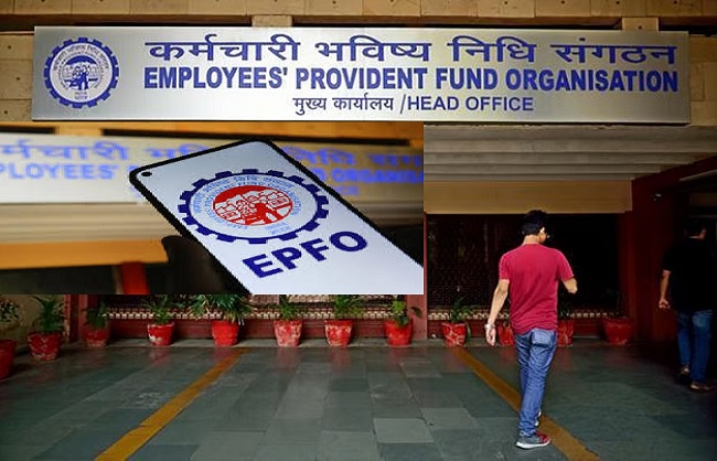 ईपीएफओ के लोगो का प्रतीकात्मक चित्र ईपीएफओ के लोगो का प्रतीकात्मक चित्र