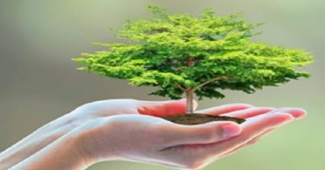 अंतरराष्ट्रीय जैव विविधता दिवस अंतरराष्ट्रीय जैव विविधता दिवस