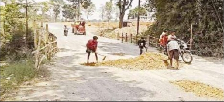 राजपुर में खुद सड़क की मरम्मत करते स्थानीय राजपुर में खुद सड़क की मरम्मत करते स्थानीय