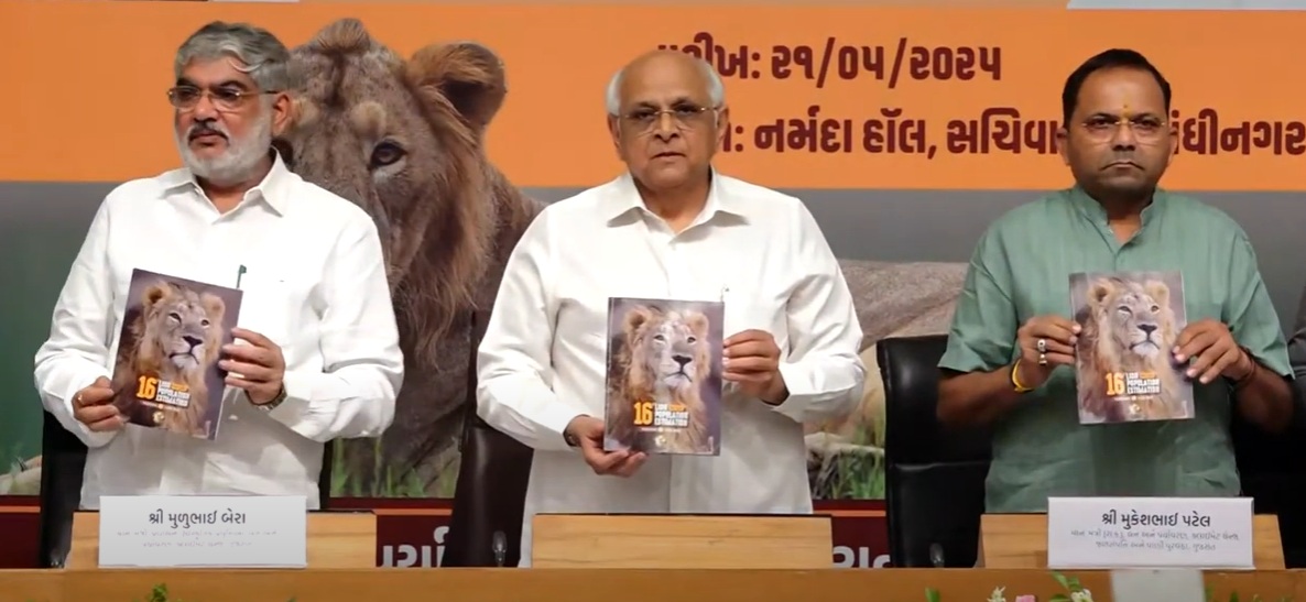 गांधीनगर के सचिवालय में बुधवार को 16वीं शेर गिनती संबंधी बुकलेट जारी करते हुए मुख्यमंत्री भूपेन्द्र पटेल। गांधीनगर के सचिवालय में बुधवार को 16वीं शेर गिनती संबंधी बुकलेट जारी करते हुए मुख्यमंत्री भूपेन्द्र पटेल।
