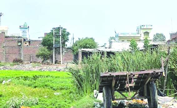 गंदगी से पटा सरोवर गंदगी से पटा सरोवर