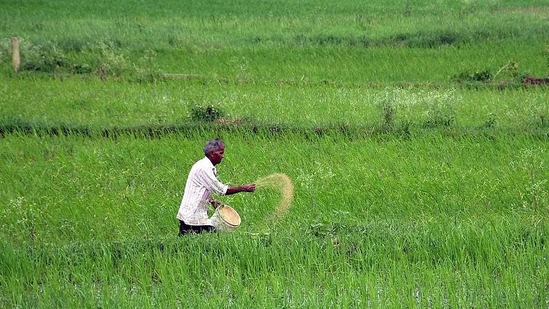 प्रतीकात्मक फोटो प्रतीकात्मक फोटो