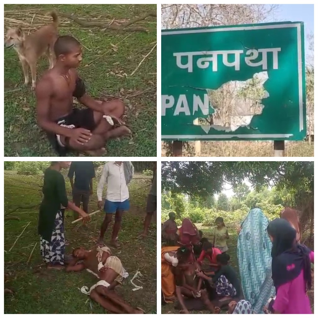 बाघ ने दौड़ा कर किया दो ग्रामीणों को घायल घंटो बाद मिला घायलों को इलाज