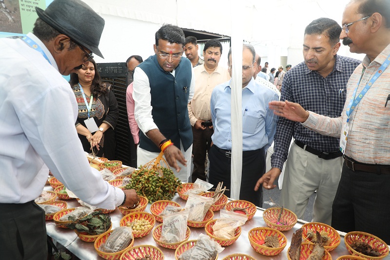 अंतरराष्ट्रीय जैव विविधता दिवस पर कार्यशाला