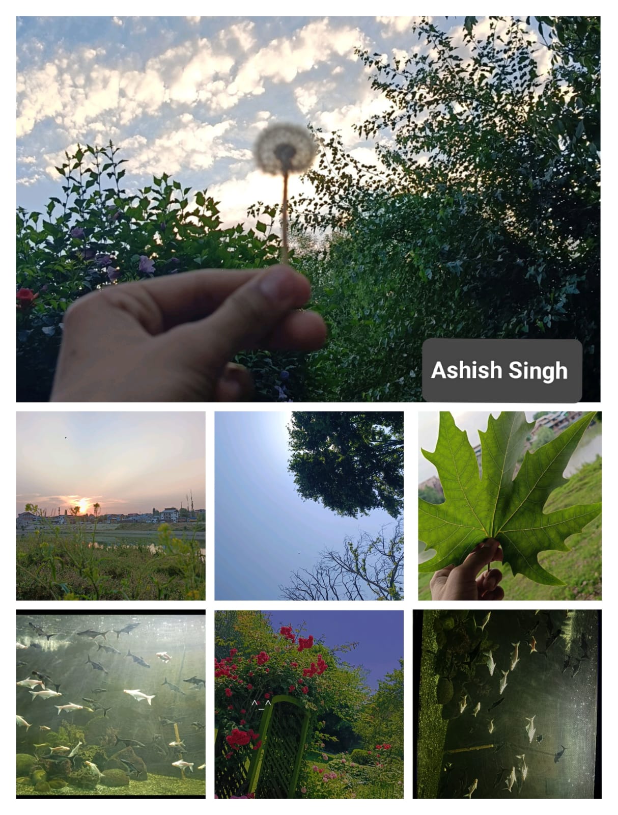 जीजीएम साइंस कॉलेज ने छात्र भागीदारी के साथ अंतर्राष्ट्रीय जैव विविधता दिवस मनाया जीजीएम साइंस कॉलेज ने छात्र भागीदारी के साथ अंतर्राष्ट्रीय जैव विविधता दिवस मनाया