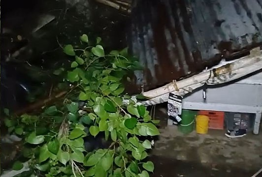 आंधी तूफान से चुंचुड़ा में काफी नुकसान आंधी तूफान से चुंचुड़ा में काफी नुकसान