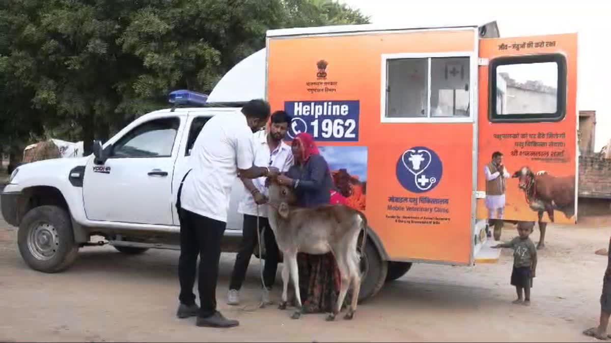 एक कॉल से हुआ 44 लाख पशुओं का मुफ्त इलाज