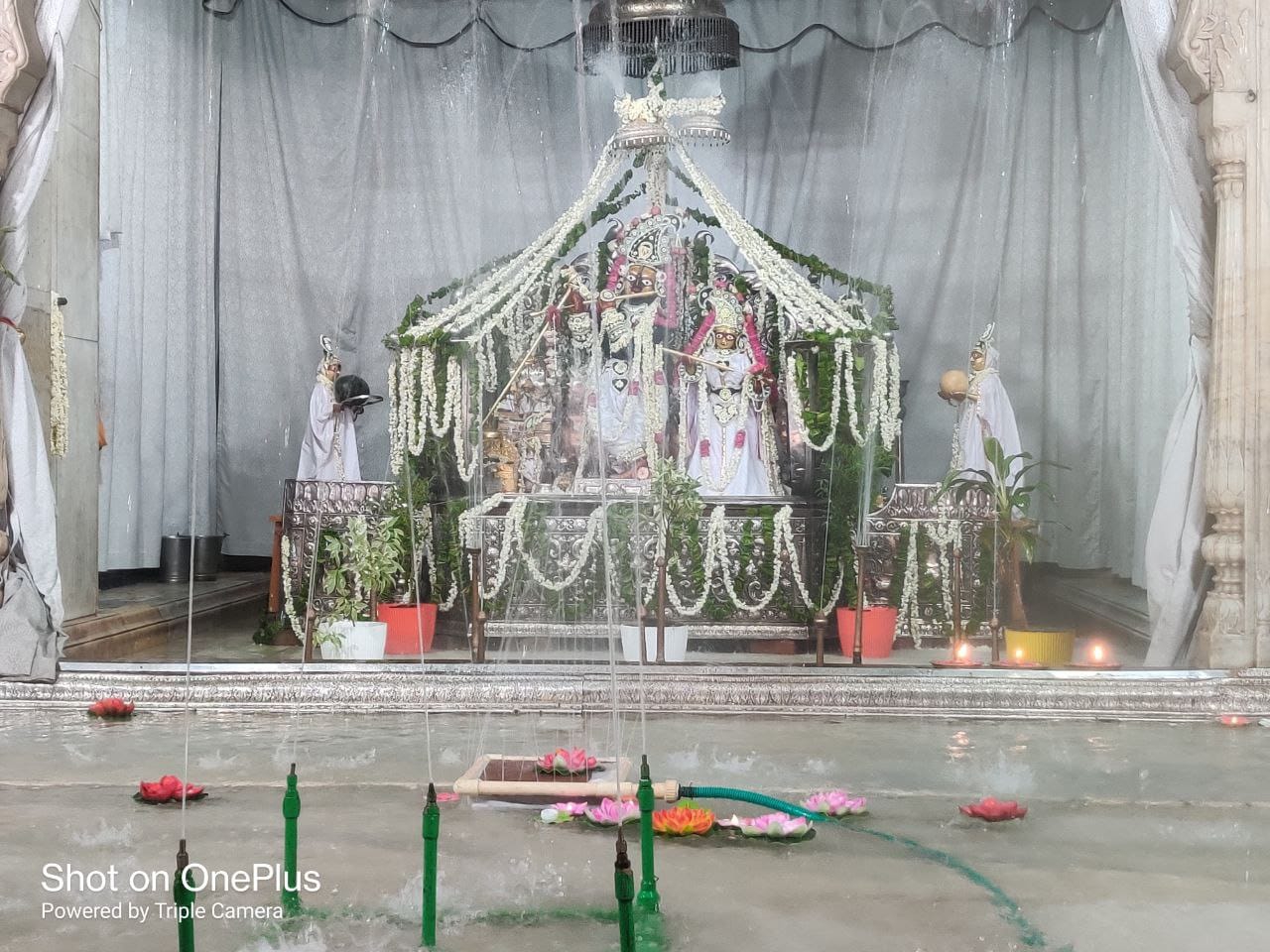भक्तिभाव से मनाई गई अपरा एकादशी भक्तिभाव से मनाई गई अपरा एकादशी