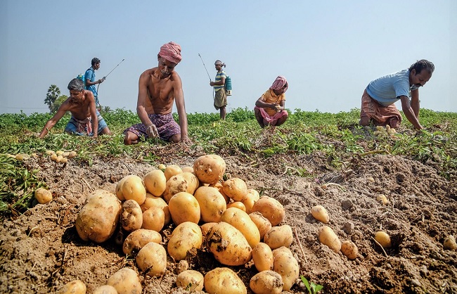 बंगाल में कृषि बीमा बंगाल में कृषि बीमा