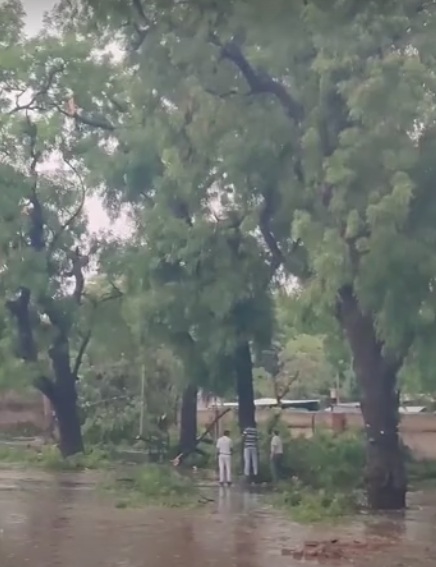 तेज आंधी-पानी के कारण पेड़ गिर गए। तेज आंधी-पानी के कारण पेड़ गिर गए।