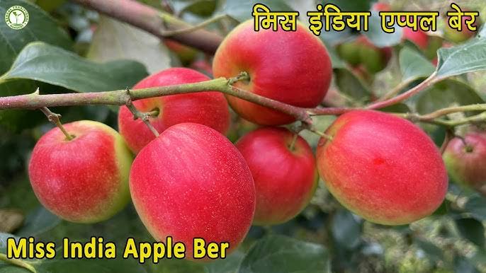 प्रतीकात्मक प्रतीकात्मक