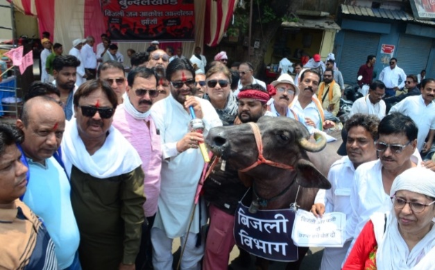 भैंस के आगे बीन बजाते पूर्व केंद्रीय मंत्री भैंस के आगे बीन बजाते पूर्व केंद्रीय मंत्री