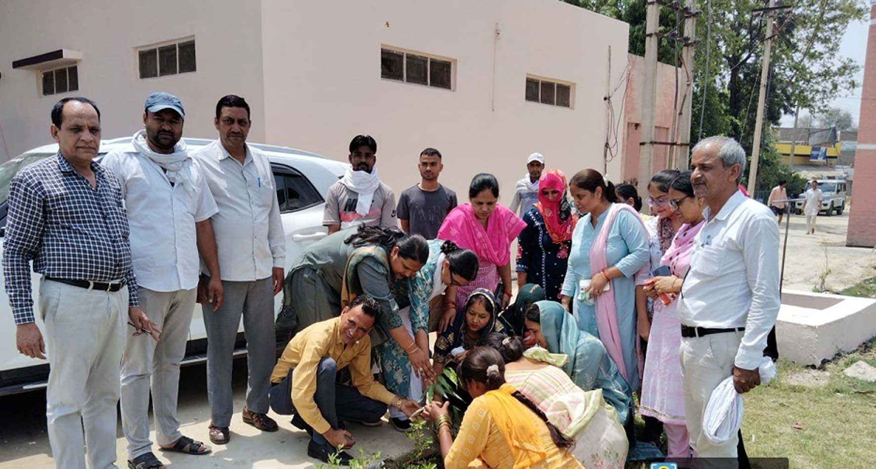 एक पेड़ मां के नाम अभियान चलाते विभागीय अधिकारी व कर्मचारी। एक पेड़ मां के नाम अभियान चलाते विभागीय अधिकारी व कर्मचारी।