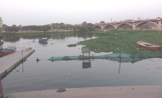 गोमती नदी में जलकुम्भी का अम्बार (फोटो) गोमती नदी में जलकुम्भी का अम्बार (फोटो)
