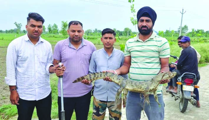 रेस्क्यू किए मगरमच्छ के साथ वन विभाग की टीम रेस्क्यू किए मगरमच्छ के साथ वन विभाग की टीम