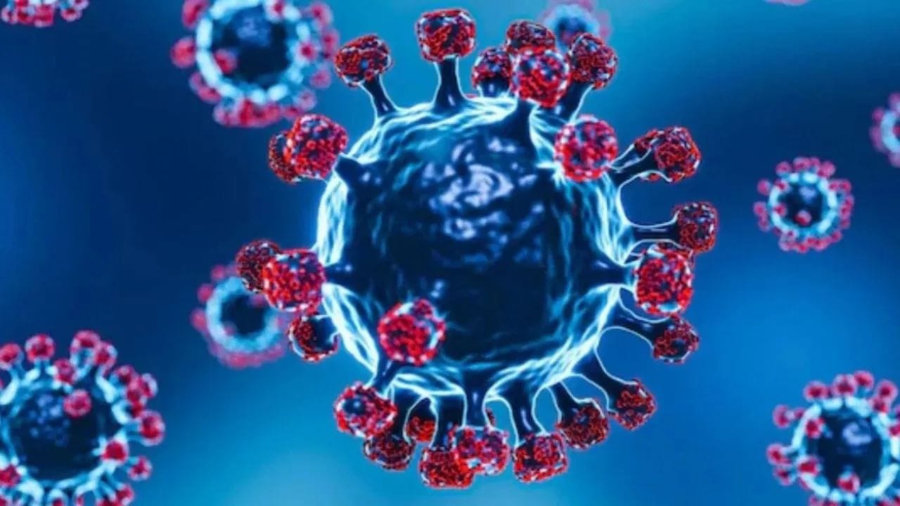 Corona virus Corona virus