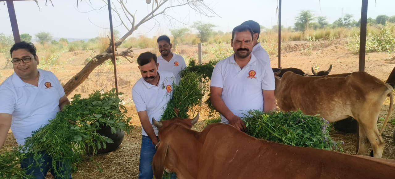 सोमवती अमावस्या पर सजी विशेष झांकी, गौशालाओं में किया दान-पुण्य सोमवती अमावस्या पर सजी विशेष झांकी, गौशालाओं में किया दान-पुण्य