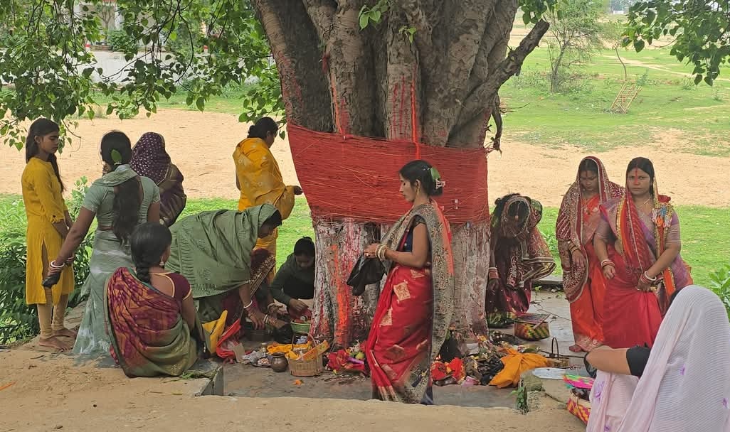 अररिया फोटो: वट वृक्ष की पूजा को लेकर पेड़ पर जमी महिलाएं अररिया फोटो: वट वृक्ष की पूजा को लेकर पेड़ पर जमी महिलाएं