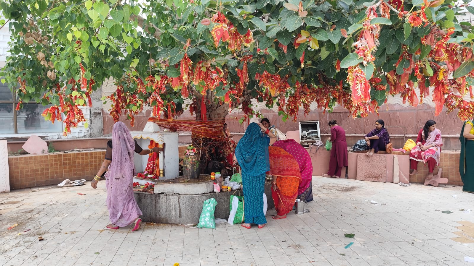 अमरकंटक में वटवृक्ष का पूजन करती महिलाएं