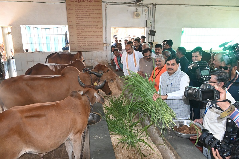 विराट हॉस्पिस परिसर में स्थित गौशाला का भी अवलोकन विराट हॉस्पिस परिसर में स्थित गौशाला का भी अवलोकन