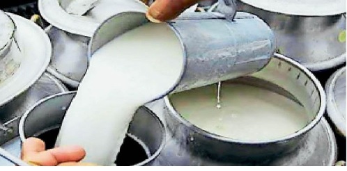 नाराज दूध उत्पादक दो जून को करेंगे प्रदर्शन नाराज दूध उत्पादक दो जून को करेंगे प्रदर्शन