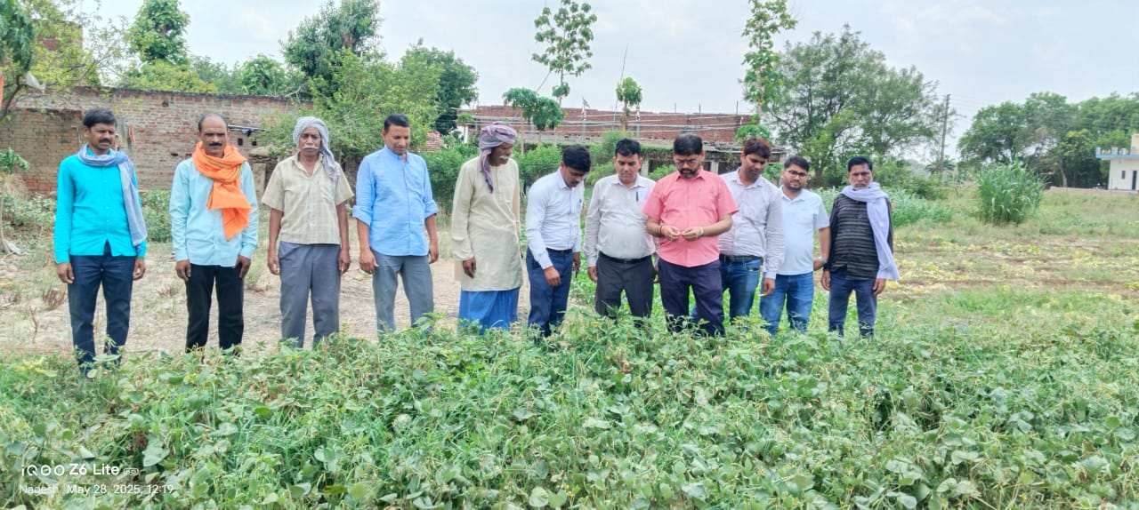 फसल का निरीक्षण करते वैज्ञानिक एवं किसान।