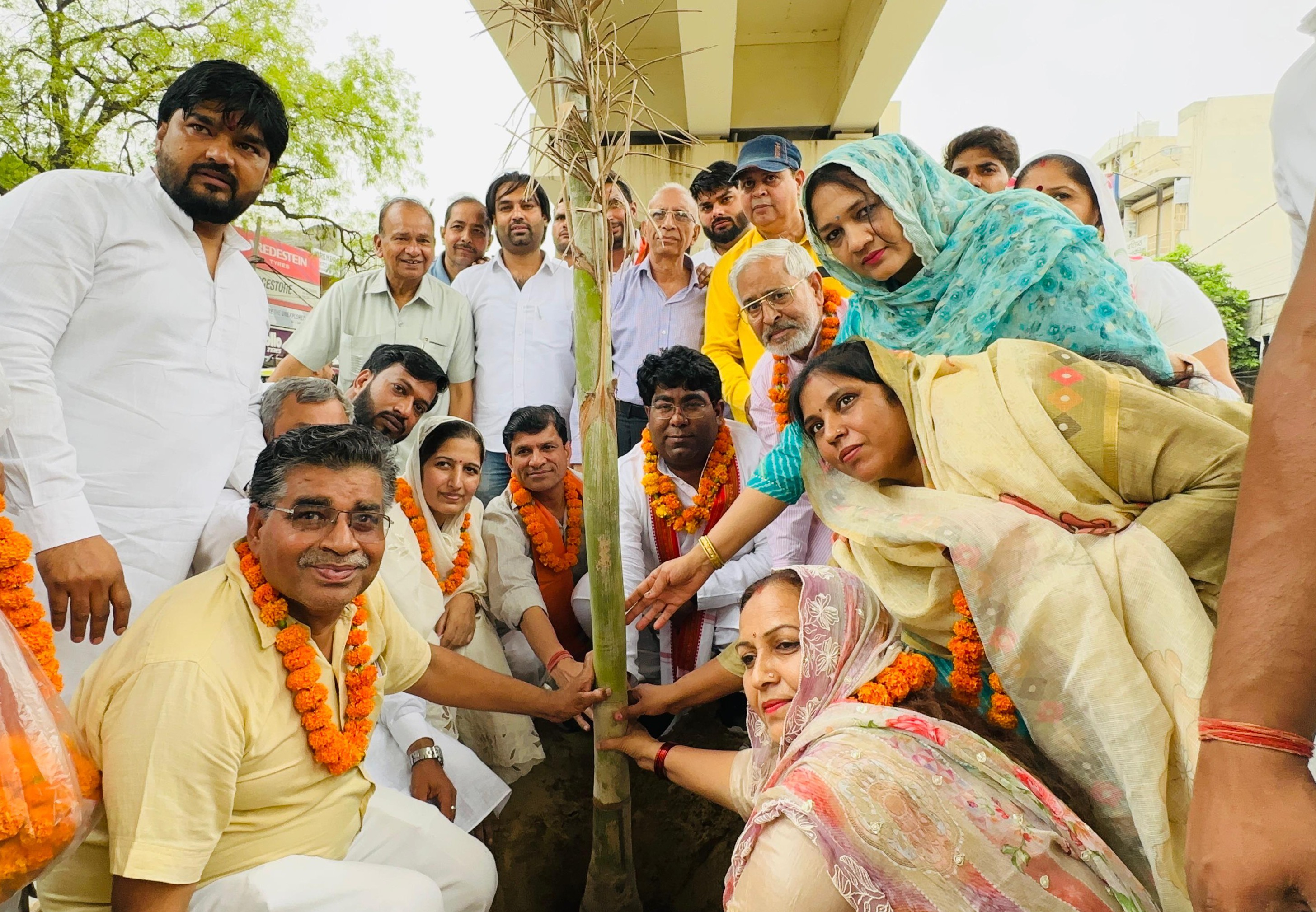 डिवाइडर के सौंदर्यीकरण कार्य का शुभारंभ करती चेयरपर्सन सरोज राठी। डिवाइडर के सौंदर्यीकरण कार्य का शुभारंभ करती चेयरपर्सन सरोज राठी।