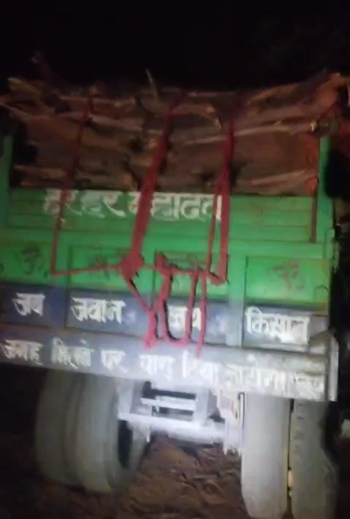 अबैध लकड़ी से लदा ट्रैक्टर-ट्रॉली। अबैध लकड़ी से लदा ट्रैक्टर-ट्रॉली।