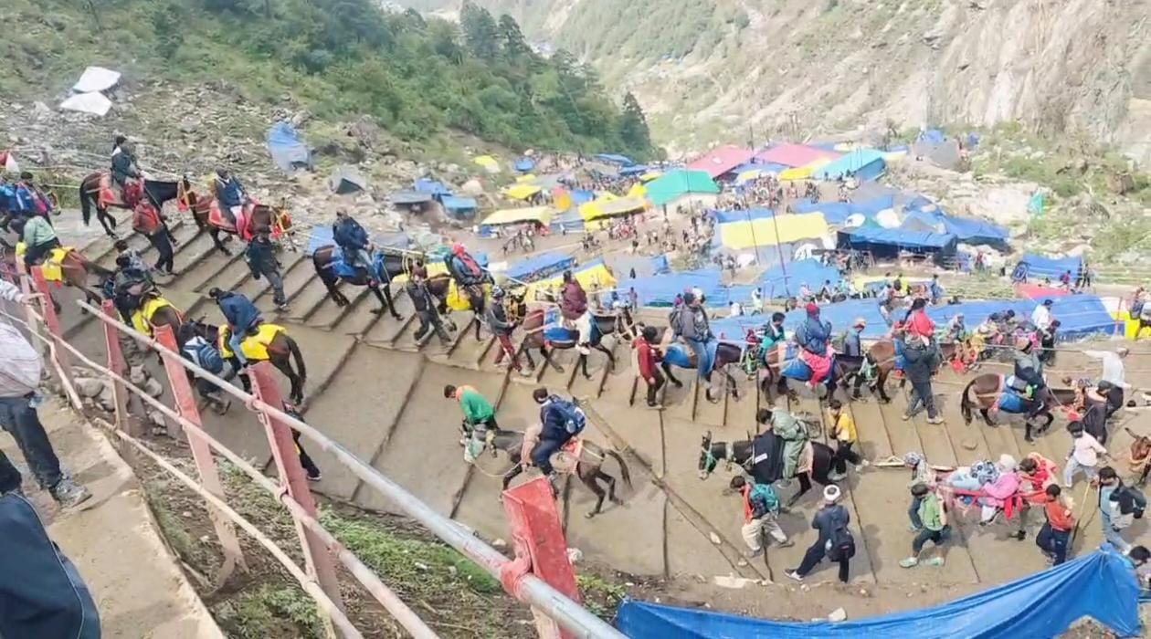 केदारनाथ । केदारनाथ ।