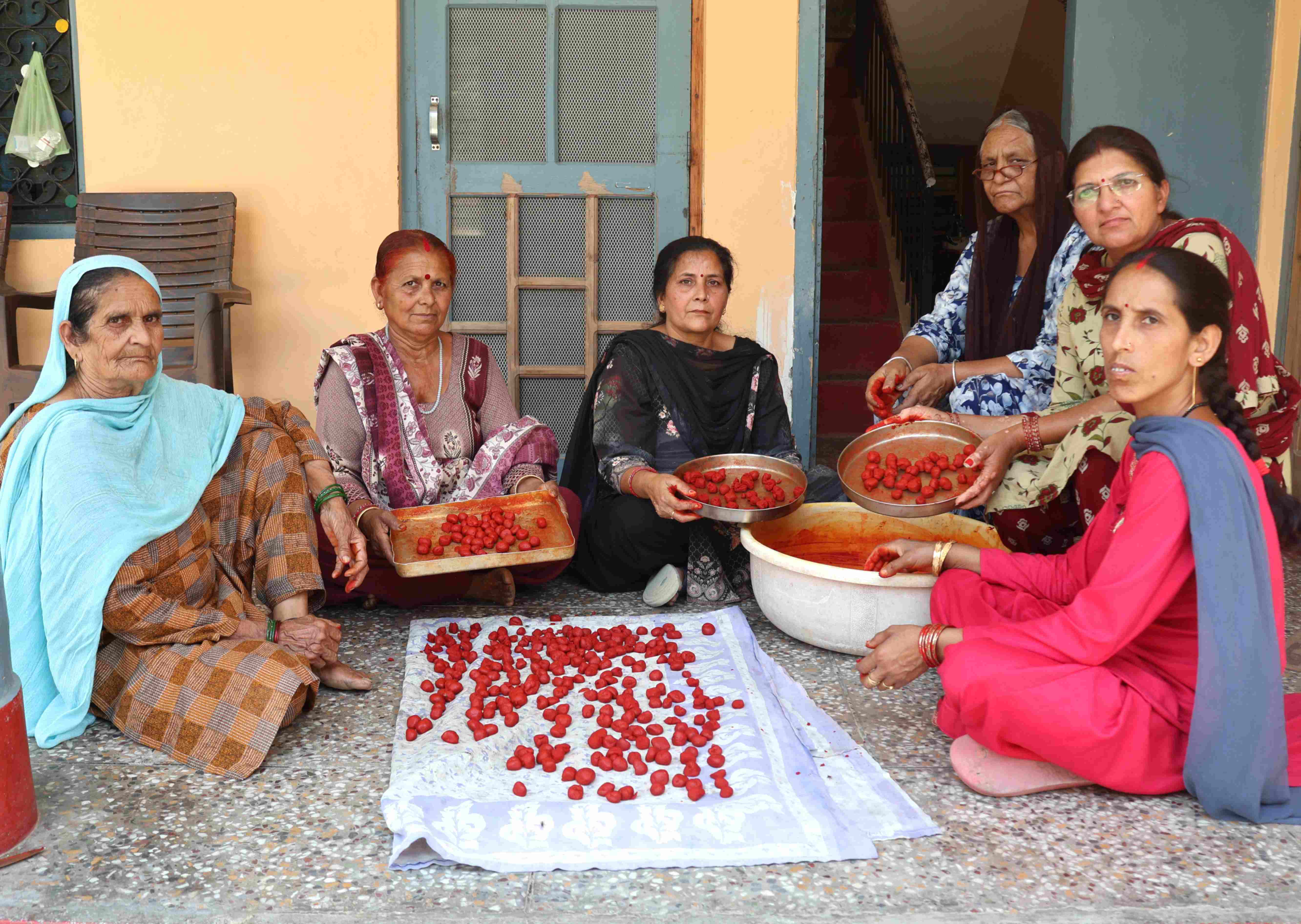 हाथ के हुनर और सरकार के सहयोग से लिखी सफलता की कहानी