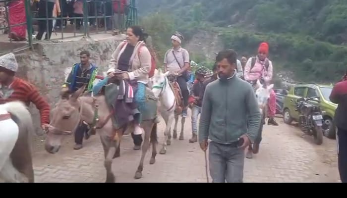 यमुनोत्री धाम में संचालित घोड़े खच्चर के पशुपालन विभाग ने 15 से अधिक घोड़े खच्चरों के रेंडमली सैम्पल लेते हुए यमुनोत्री धाम में संचालित घोड़े खच्चर के पशुपालन विभाग ने 15 से अधिक घोड़े खच्चरों के रेंडमली सैम्पल लेते हुए
