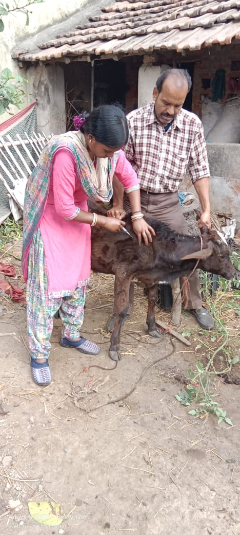 केविके का कार्यक्रम केविके का कार्यक्रम