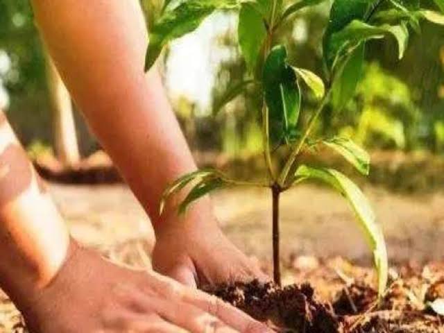 फोटो प्रतीक फोटो प्रतीक