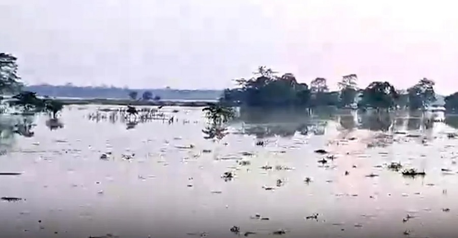 असमः बाढ़ के पानी में डूबा काजीरंगा में शामिल छठे क्षेत्र का चालीस प्रतिशत हिस्सा असमः बाढ़ के पानी में डूबा काजीरंगा में शामिल छठे क्षेत्र का चालीस प्रतिशत हिस्सा