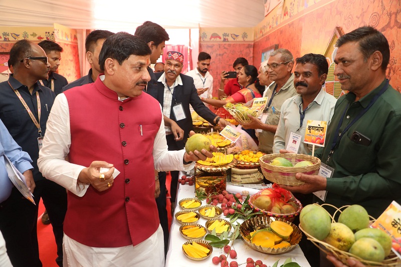 मुख्यमंत्री डॉ. यादव ने बॉम्बे ग्रीन और मणि प्रभा किस्म का स्वाद चखकर आम महोत्सव का किया शुभारंभ मुख्यमंत्री डॉ. यादव ने बॉम्बे ग्रीन और मणि प्रभा किस्म का स्वाद चखकर आम महोत्सव का किया शुभारंभ